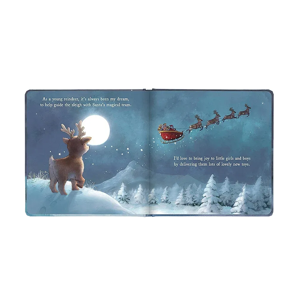 'A Reindeers Dream' Book