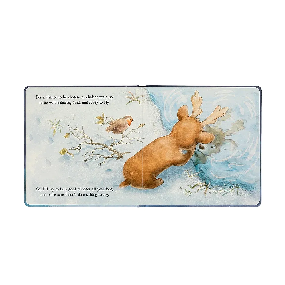 'A Reindeers Dream' Book