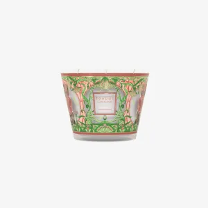 Baobab Collection | My First Baobab Tomorrowland 2024