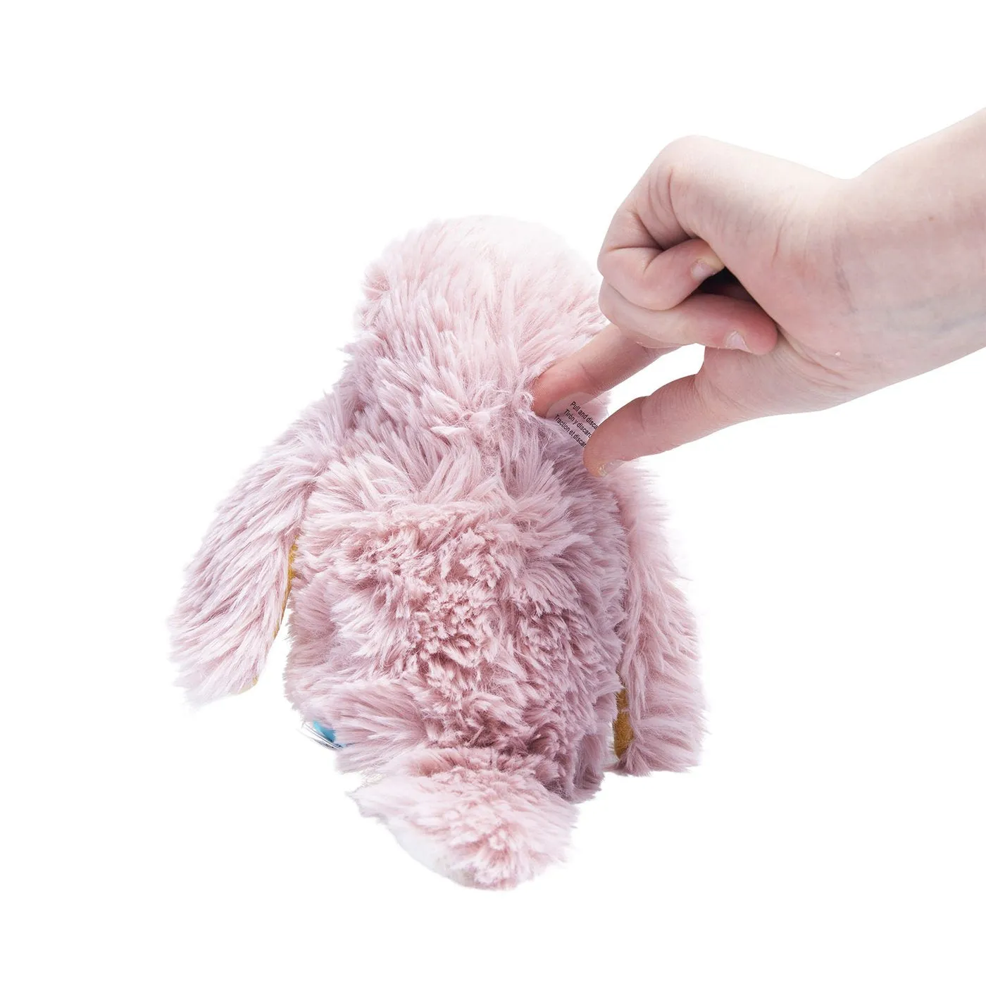 Chirping Songbird Crinkle Toy