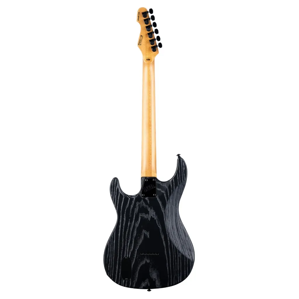 ESP LTD SN-1000 HT Electric Guitar - Silver Blast