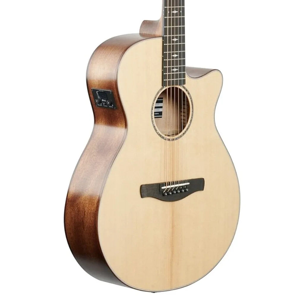 Ibanez AEG200 AEG Acoustic Guitar - Natural Low Gloss