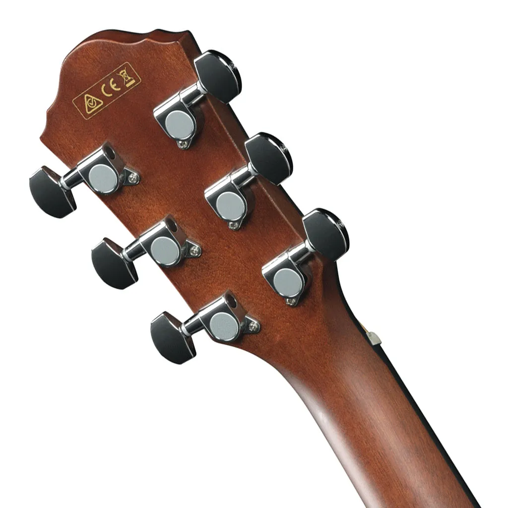 Ibanez AEG50 IBH Acoustic Guitar
