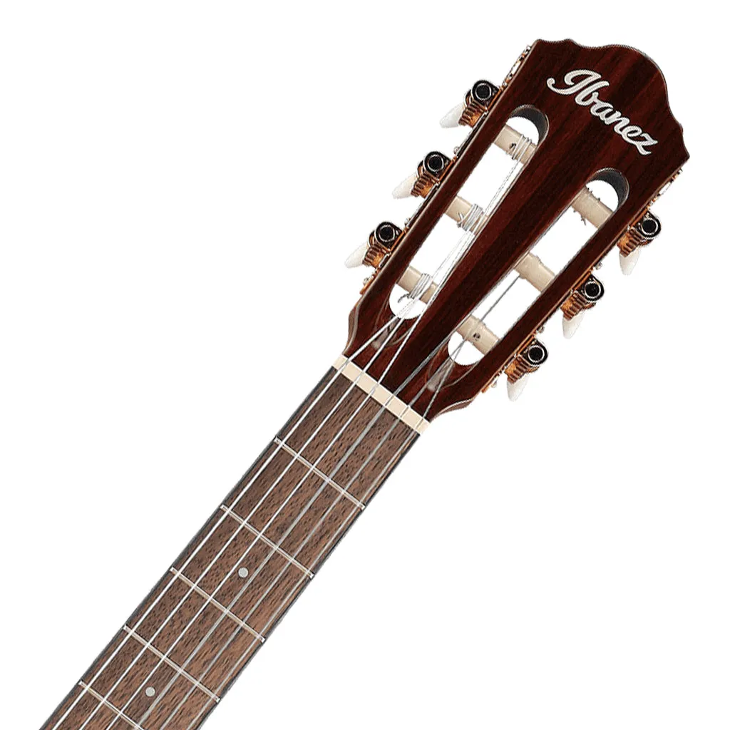 Ibanez AEG50N NT Acoustic Guitar