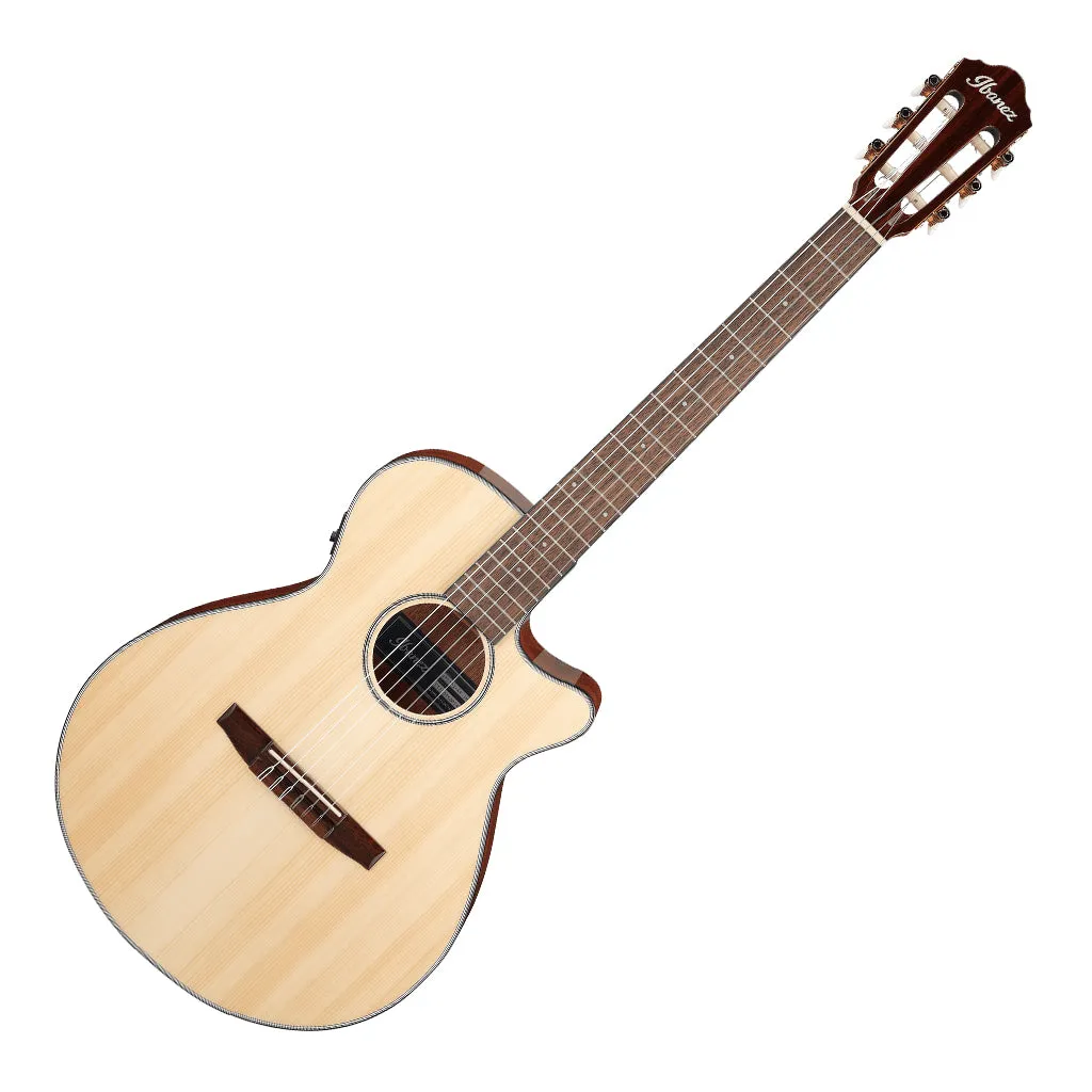 Ibanez AEG50N NT Acoustic Guitar