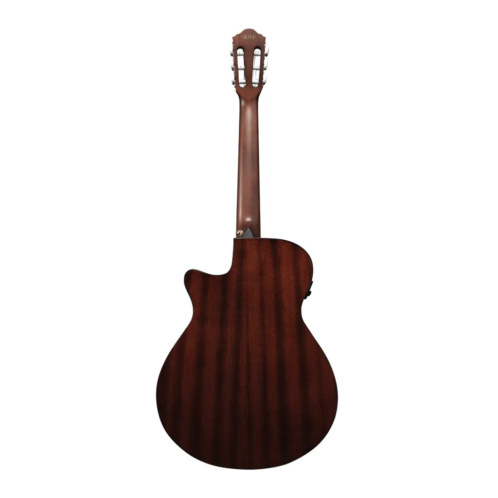 Ibanez AEG50N NT Acoustic Guitar