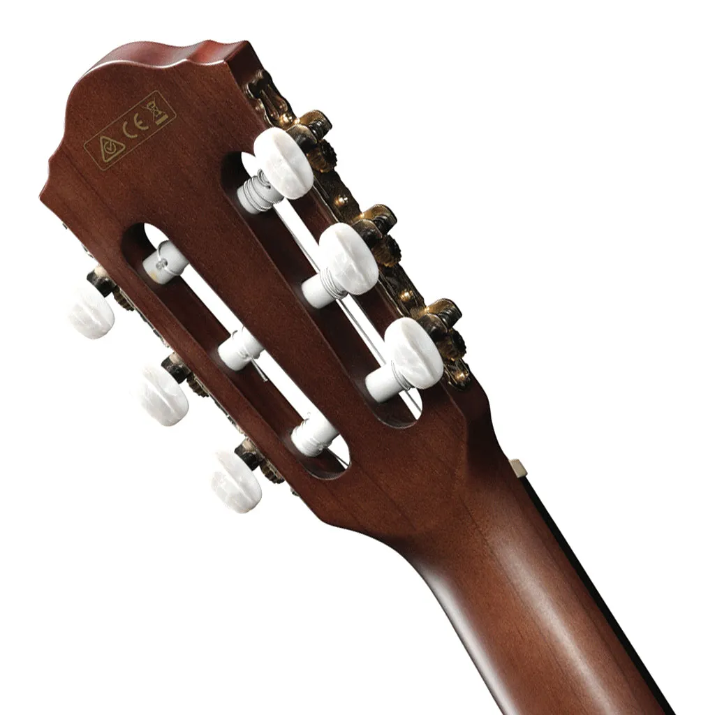 Ibanez AEG50N NT Acoustic Guitar