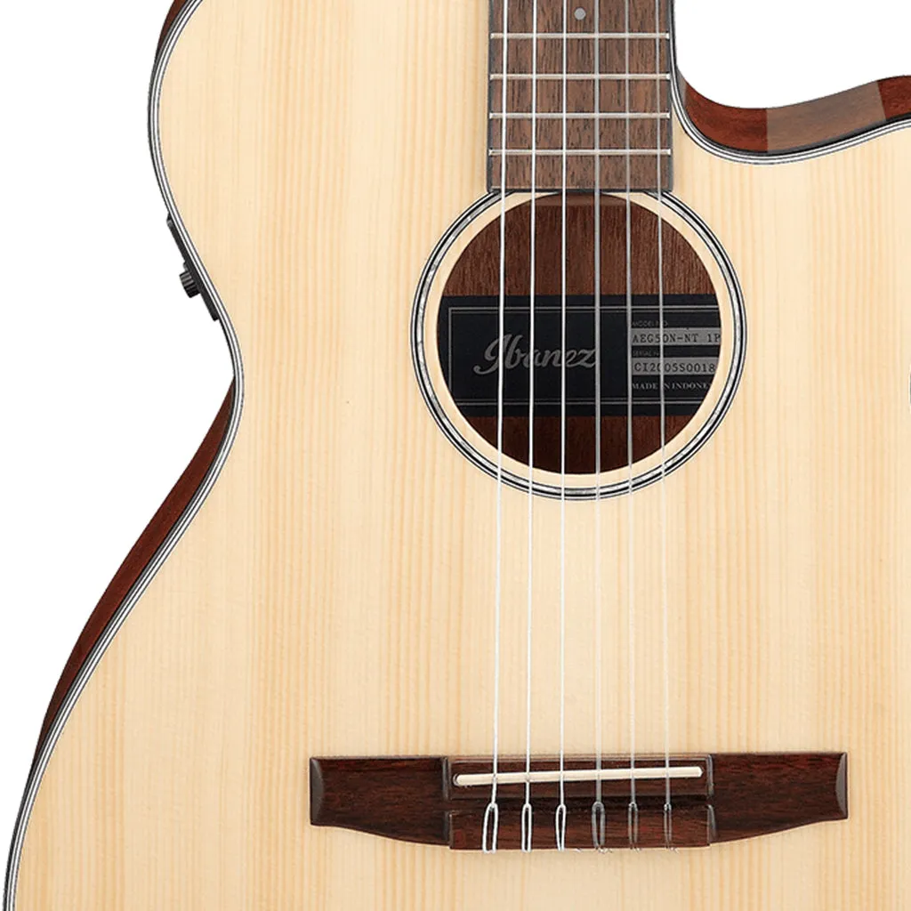 Ibanez AEG50N NT Acoustic Guitar