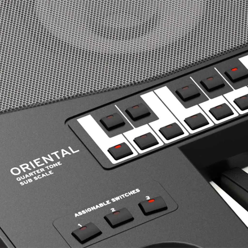 Korg PA700 Oriental