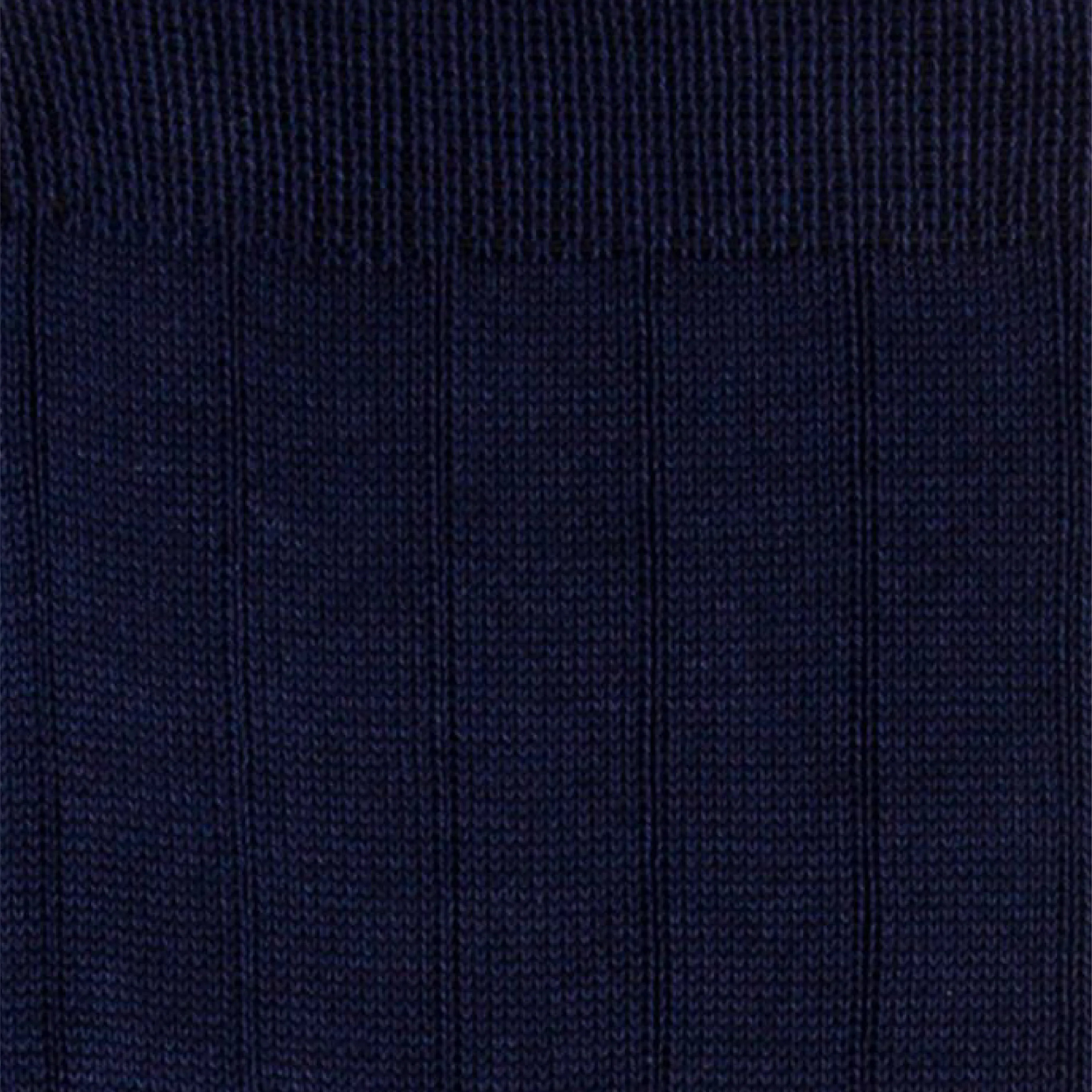 Men's Ribbed Socks | Blue