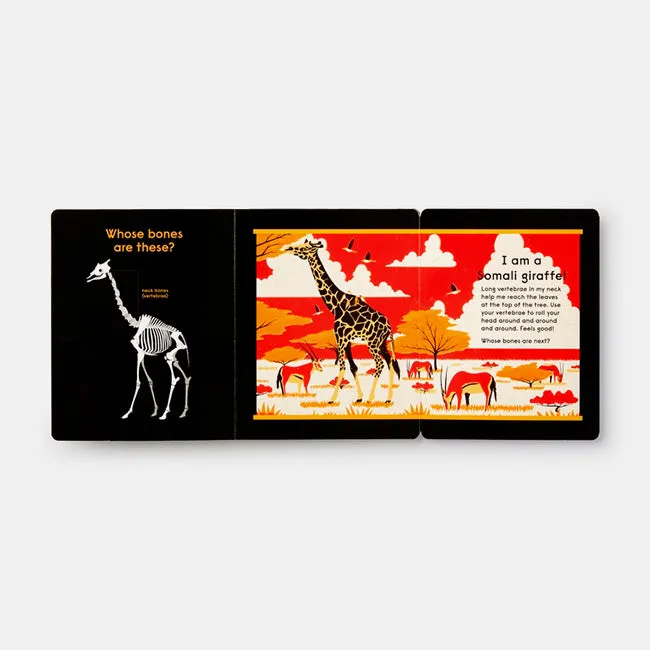 Phaidon | Whose Bones? An Animal Guessing Game