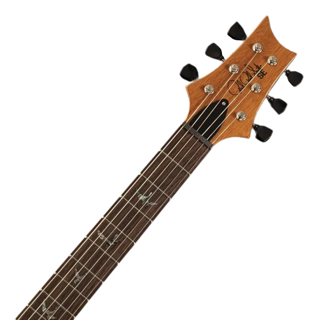 PRS SE Paul's Guitar - Faded Blue