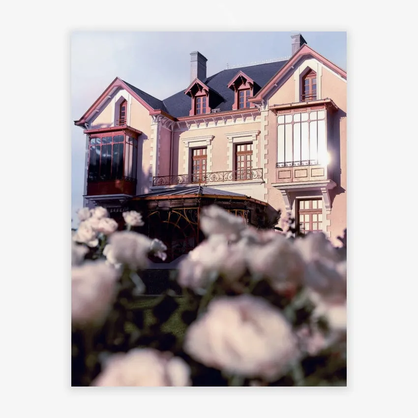 Rizzoli | Dior and Roses