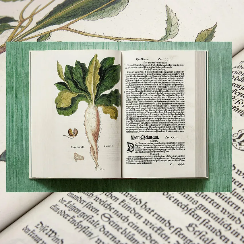 Taschen | Fuchs, Herbs