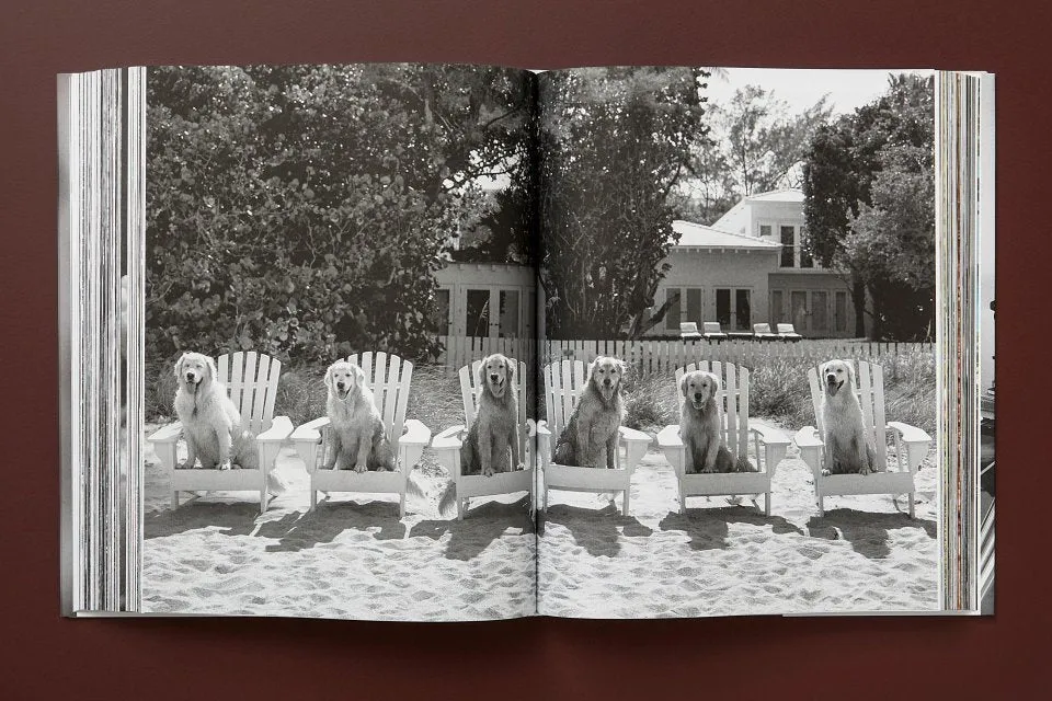 Taschen | The Golden Retriever Photographic Society - Bruce Weber
