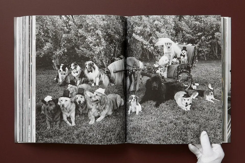 Taschen | The Golden Retriever Photographic Society - Bruce Weber