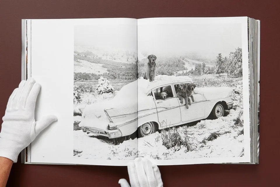 Taschen | The Golden Retriever Photographic Society - Bruce Weber