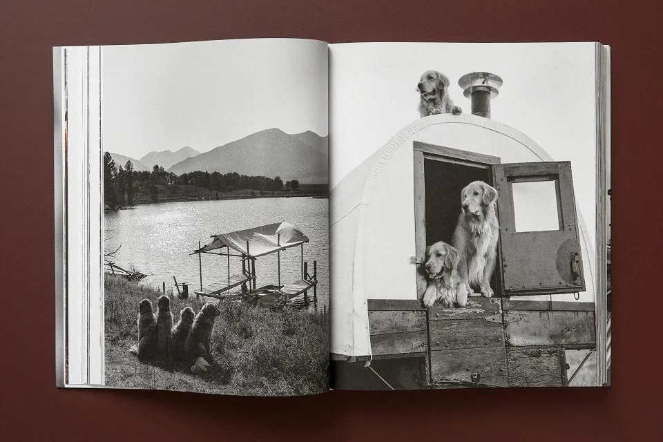 Taschen | The Golden Retriever Photographic Society - Bruce Weber