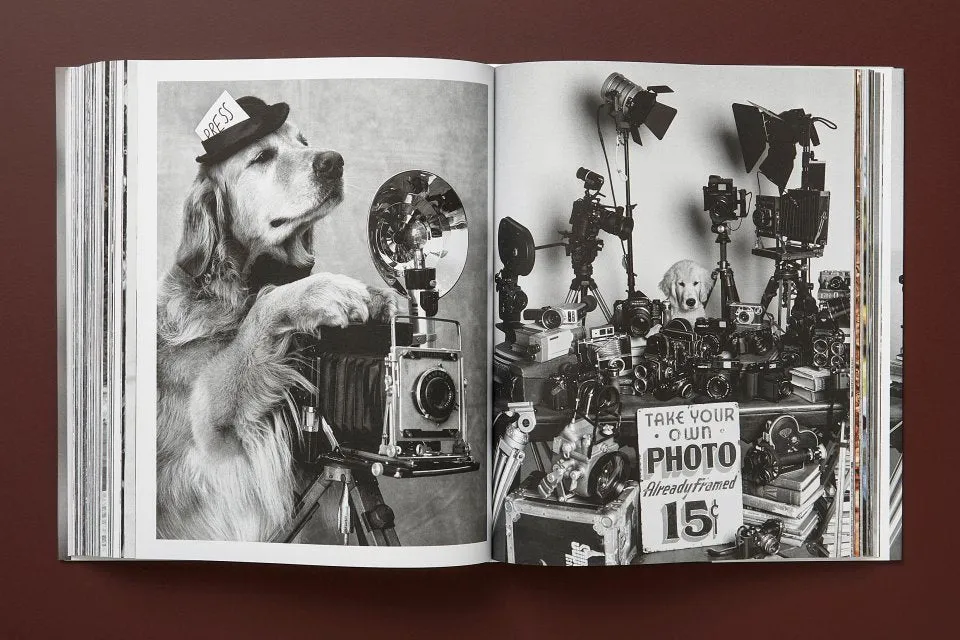 Taschen | The Golden Retriever Photographic Society - Bruce Weber